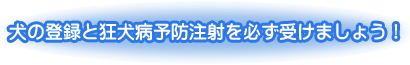 犬の登録と狂犬病予防注射を必ず受けましょう